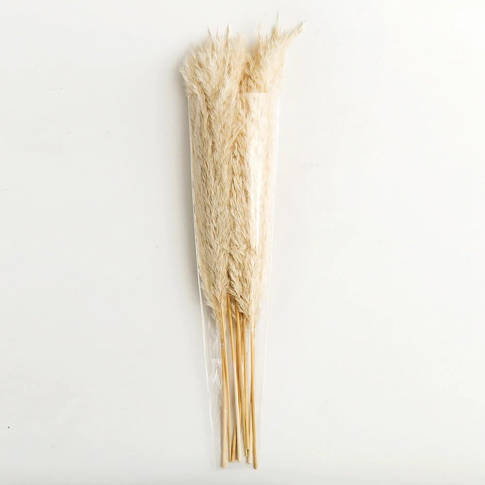 Natural Dried Pampas Grass Bouquet