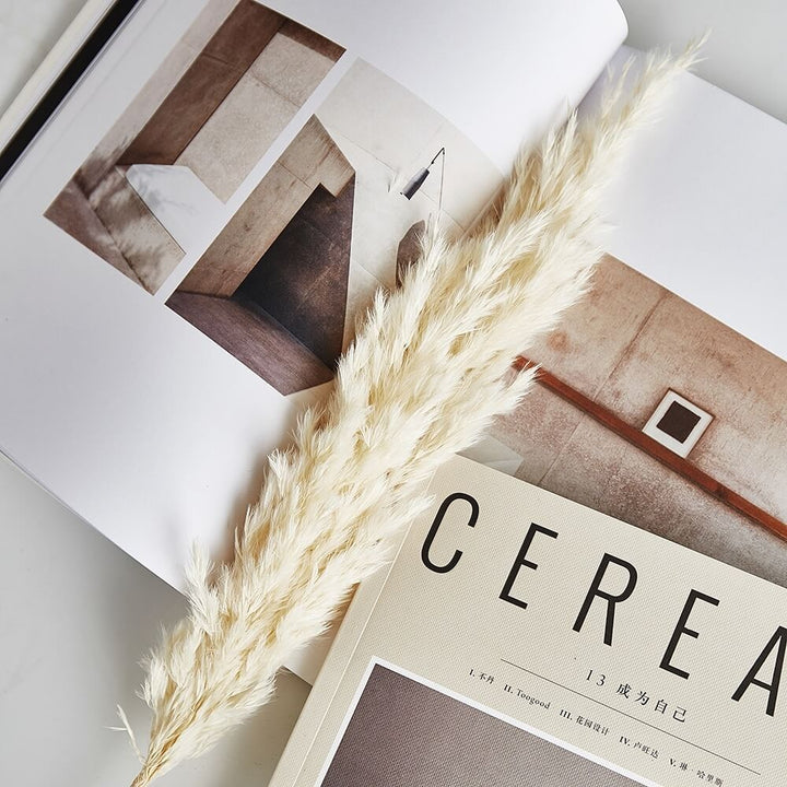 Natural Dried Pampas Grass Bouquet